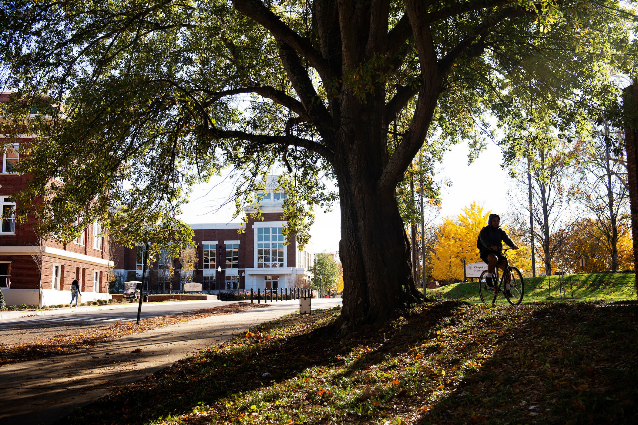 Student riding bike under a tree
